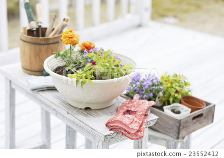 園藝的形象 23552412