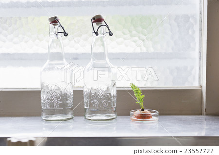 中等生活方式 23552722