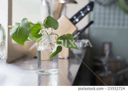 中等生活方式 23552724