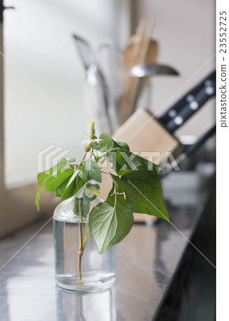 中等生活方式 中等生活方式 23552725