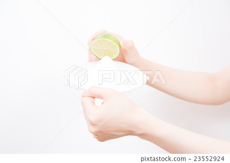 Lime women 23552924