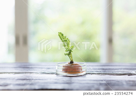 中等生活方式 中等生活方式 23554274