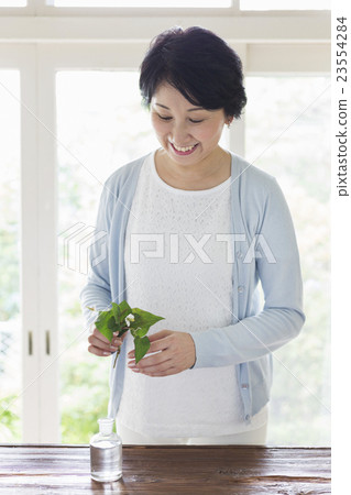 Middle Lifestyle 23554284