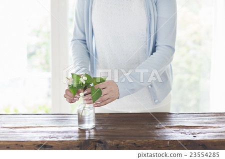 Middle Lifestyle Middle Lifestyle 23554285