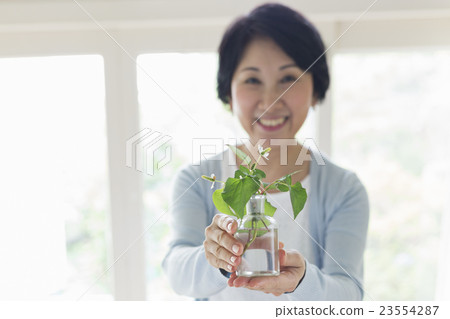 Middle Lifestyle 23554287