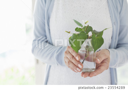 中等生活方式 23554289