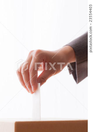 Women voting, gray suit 23554403