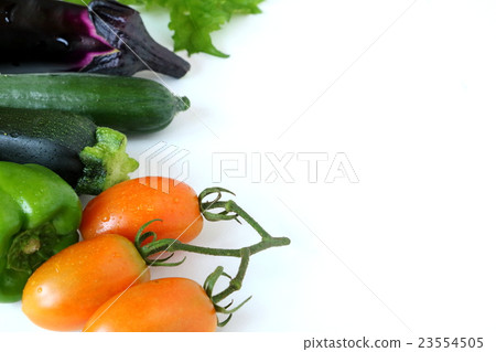 夏季蔬菜 夏季蔬菜 23554505