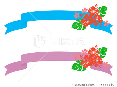 Hibiscus frame (ribbon) - Stock Illustration [23555519] - PIXTA