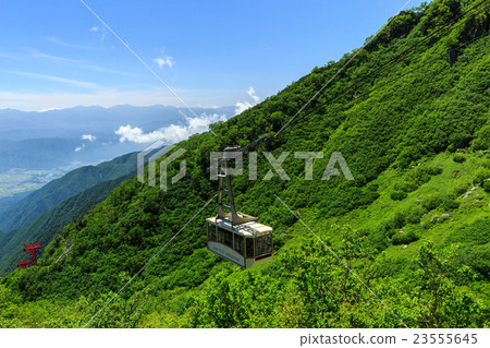 Senjakikikaru 23555645