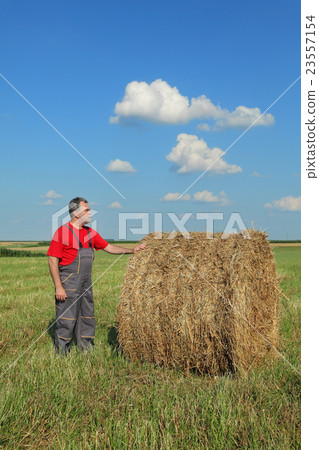 Farmer and bale of hay in field 23557154