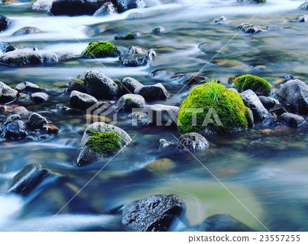 Aomori _ Oirase stream 23557255