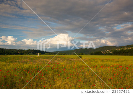 Amazing twilight in the valley near Prague Amazing twilight in the valley near Prague 23557431