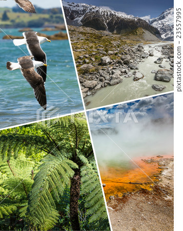 Collage of New Zealand images Collage of New Zealand images 23557995