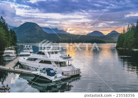 A crowd of Alaska in the dark 23558356