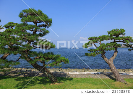 真嗣湖松江市的景觀 真嗣湖松江市的景觀 23558878