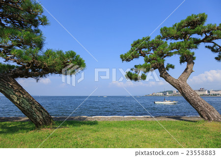 真嗣湖松江市的景觀 23558883