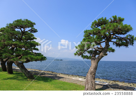 真嗣湖松江市的景觀 23558888