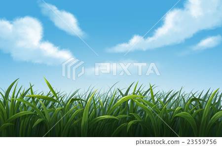 Illustration of Green Meadows Illustration of Green Meadows 23559756