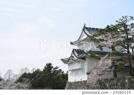 日本100 Nagashiro March名古屋城堡西南角槳 23560114