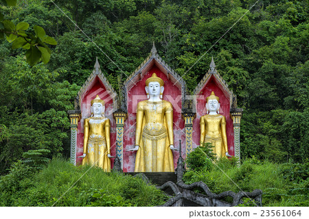 Buddha statues in the woods,Thailand 23561064