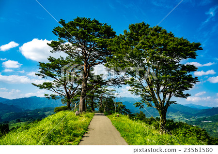  Kunimi hill 23561580