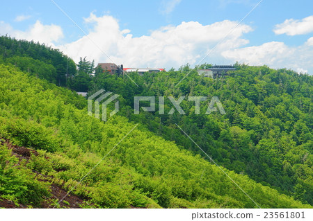 Yoshidaga mountain path Goshigaku (general management center) Yoshidaga mountain path Goshigaku (general management center) 23561801
