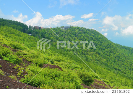 Yoshidaga mountain path Goshigaku (general management center) Yoshidaga mountain path Goshigaku (general management center) 23561802