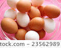 Egg 23562989