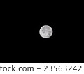Mandarin 23563242