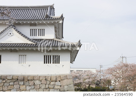 Mizukuchi castle ruins 23564590