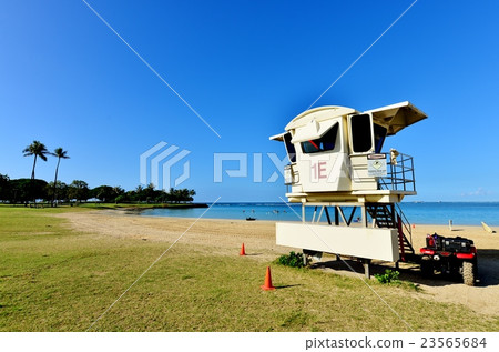 夏威夷的假期 夏威夷的假期 23565684