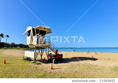 夏威夷的假期 夏威夷的假期 23565685