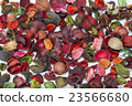 Background Potpourri Red 23566680