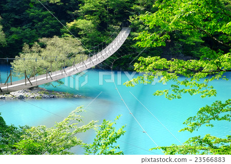 Doggyou吊橋 Doggyou吊橋 23566883