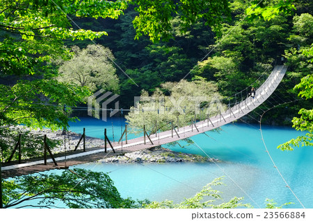 Doggyou吊橋 23566884