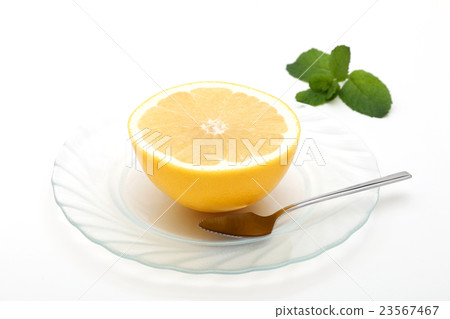 grapefruit grapefruit 23567467