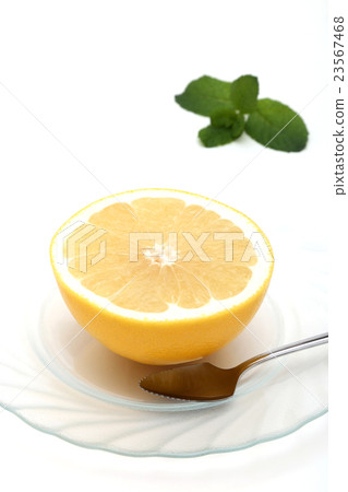 grapefruit grapefruit 23567468