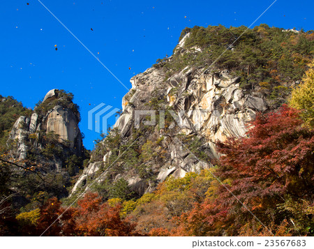 Shosenkyo的象徵，“Yenjinbong”和秋葉002 23567683