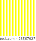 Zebra striped yellow 23567927