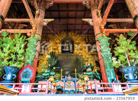 Daibutsu, Giant Buddha statue in Todai-ji temple - 23567959