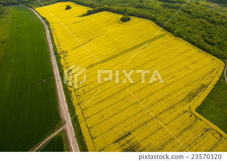 Yellow and green fields aerial view at spring time Yellow and green fields aerial view at spring time 23570320