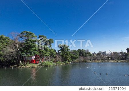 Shimosuke Park 23571904