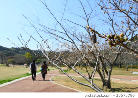 公園等春天 23573796