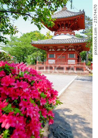 Daigaku Kawagoe Kita-in Temple and azalea 23574470