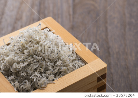 Chirimenjako在框中 Chirimenjako在框中 23575204