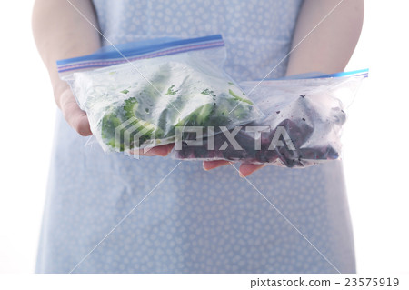 保持冷凍的家庭主婦 保持冷凍的家庭主婦 23575919