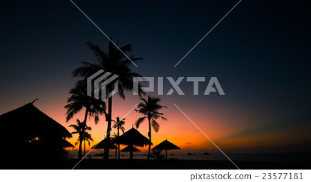 Palm trees silhouette on sunset tropical beach 23577181