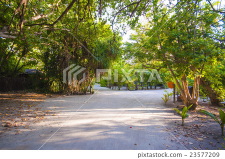 Walkway in Tropical Paradise Island, Maldives 23577209