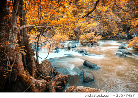 Strong mud river in rainy forest Strong mud river in rainy forest 23577487